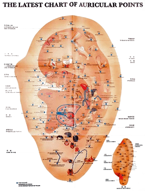(C) by: Dr. med. A. Römer